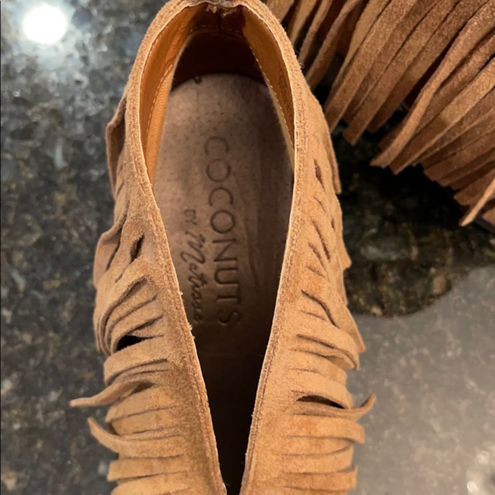 Coconuts By Matisse Lambert - image 2